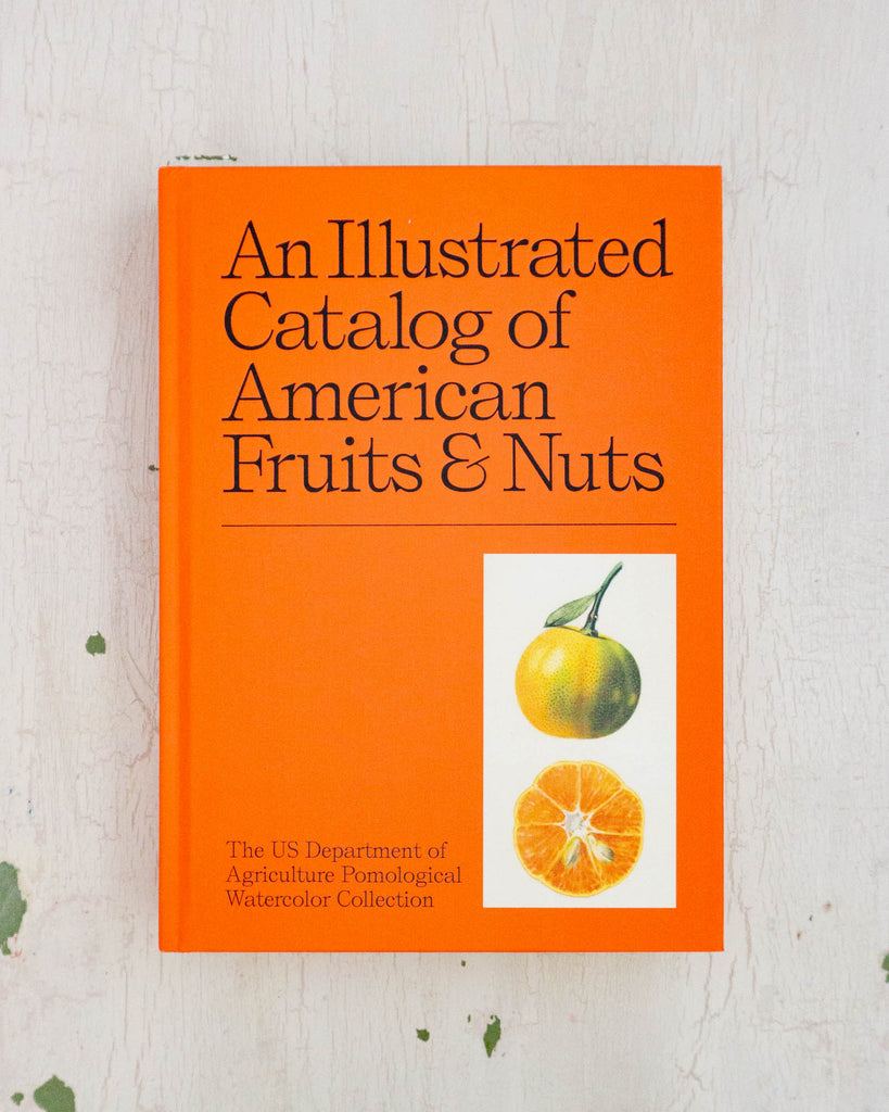 The cover of An Illustrated Catalog of American Fruits and Nuts. Coffee table sized, bright orange with a water-coloured illustration of a clementine.