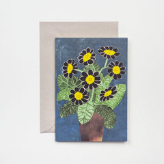 greeting card - black auricula flowers