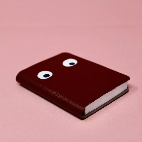 mini journal - googly eye