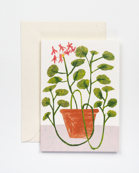 greeting card - geraniums