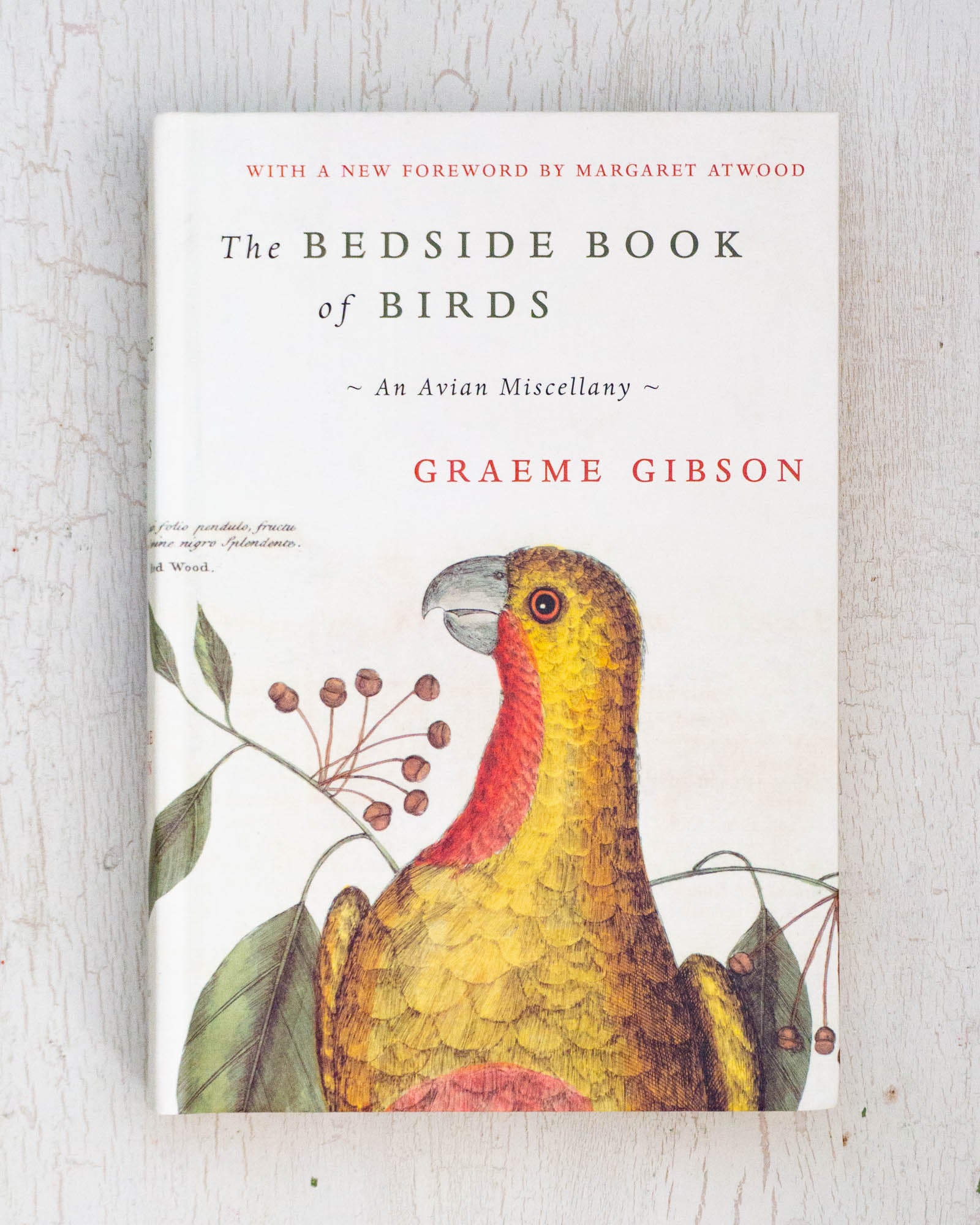 The Bedside Book of Birds by Graeme Gibson