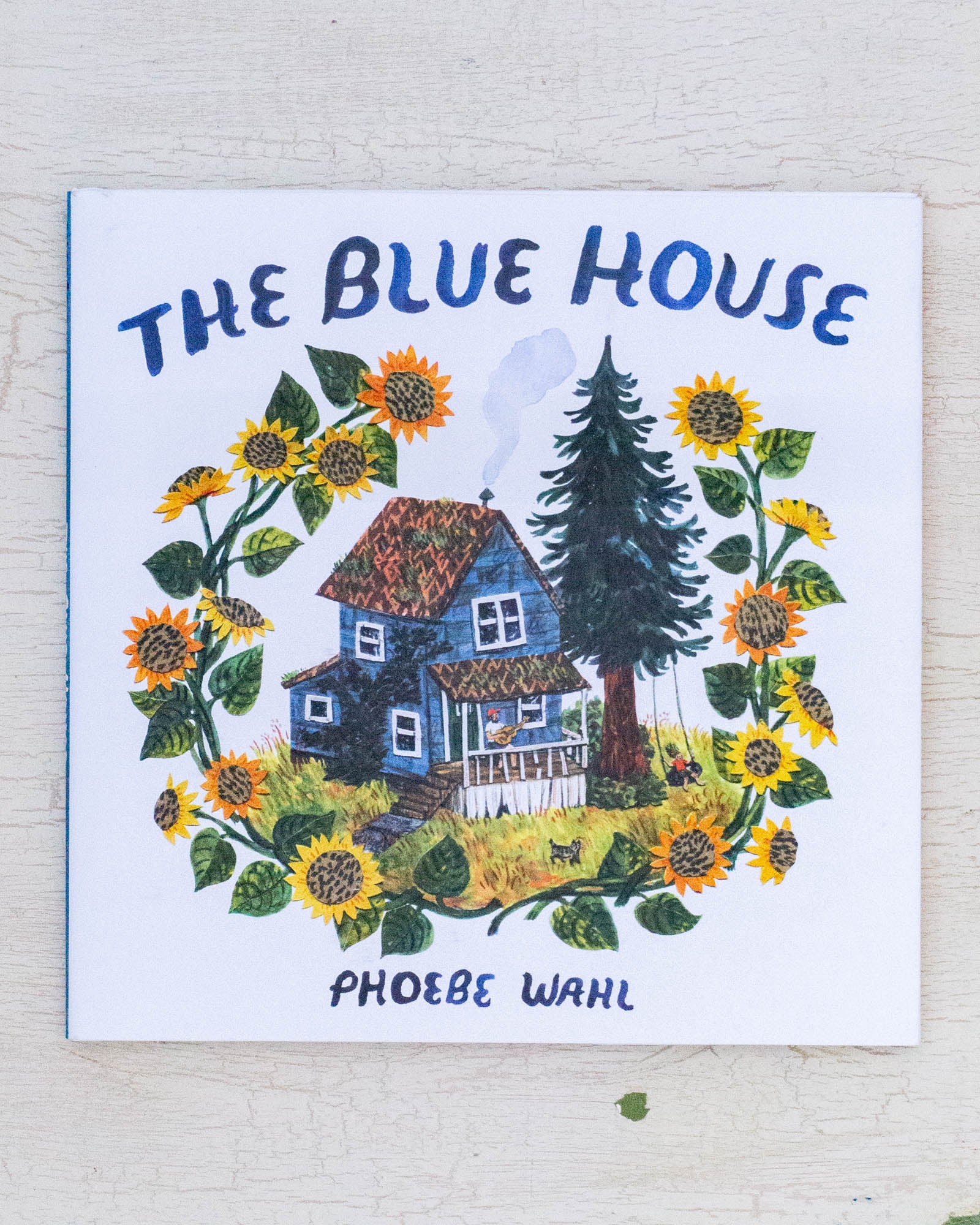 The Blue House by Phoebe Wahl